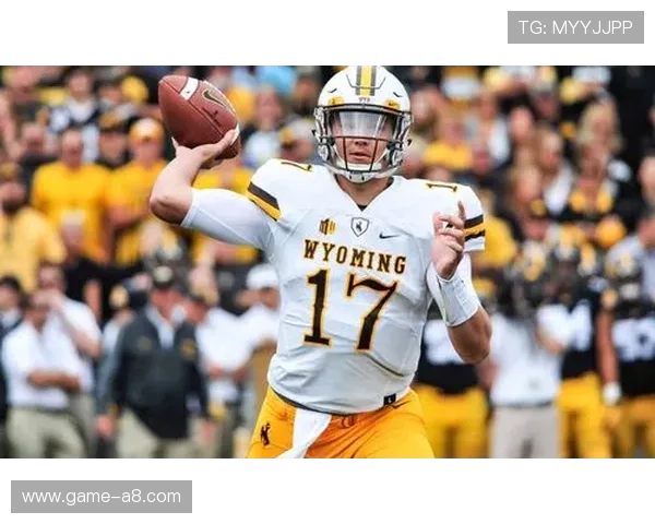 波音体育会员注册带你体验更优质的体育赛事直播