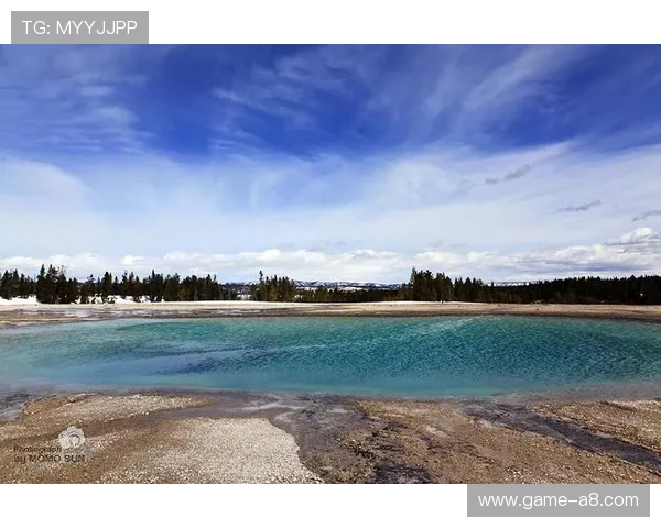 海星体育在线地址全攻略，跟随我们一起畅游运动世界