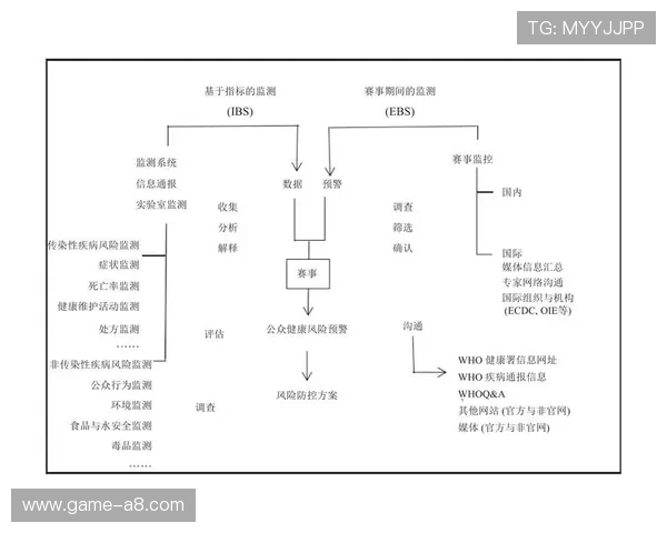 解析KY体育网站的用户界面与操作便利性评估 解析KY体育网站的用户界面与操作便利性评估