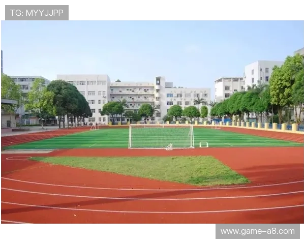 江南体育中文站在青少年体育推广中的作用与实践经验